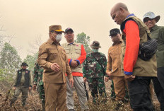Ria Norsan Tegas Tangani Karhutla, Empat PBPH Kena Sanksi