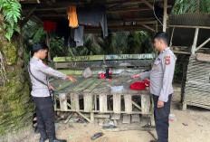 Tersinggung saat Mabuk, Pemuda di Paser Bacok Rekan dengan Parang