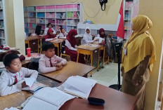 Kekurangan 97 Guru, Disdikpora PPU Wacanakan Tarik PPPK Berlatar Belakang Pendidik dari OPD Lain