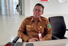 PAD Berau 2026 Ditarget Rp450 Miliar, Berikut Ini Komposisinya