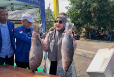 Pasar Ikan Murah di TPI Sambaliung Diserbu Warga, 6,4 Ton Ikan Ludes dalam Dua Jam