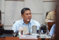 Lauk Rusak Dominasi Penyebab Kasus Keracunan MBG, BGN Siapkan Sistem Pengadaan Baru