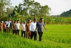 Cegah Gagal Panen Akibat Kemarau, Bupati Kukar Pastikan Sistem Pengairan Pertanian Berjalan
