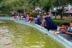 Dari Kolam Taman Tiga Generasi, Kapal Mini Menggerakkan Rezeki Akhir Pekan