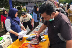 Penjualan Tembus 5 Ton  di GPM, TPI Sambaliung Agendakan Pasar Ikan Murah Bulanan