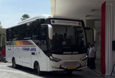 Bus Balikpapan-IKN Tambah Titik Jemput di Plaza Balikpapan, Beroperasi hingga Pukul 21.30 Wita