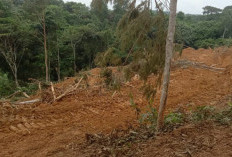 PT Budi Duta AgroMakmur Sebut Proses HGU dan Plasma Masih Berjalan Bertahap