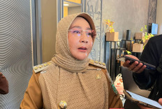 Pemkab Berau Siapkan Job Fair dan Perkuat UMKM untuk Antisipasi Gelombang PHK