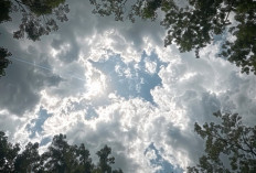 Ramalan Cuaca Kaltim dan IKN, 7 Desember 2025, Cek di Sini!