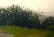 Ramalan Cuaca Kaltim dan IKN, 24 Februari 2026, Cek di Sini!