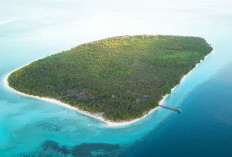 Berau Miliki Spot Selam Kaniungan yang Indah, Namun Terkendala Minim Penyelam Bersertifikasi