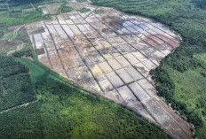 Cetak 553 Hektare Sawah Baru di Kutim, Strategis Kodim 0909 Hadapi Krisis Global