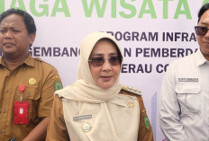 Cokelat Berau Jadi Incaran Dunia, Bupati Sri Minta Optimalisasi Lahan Tidur