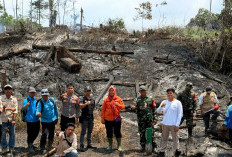Akibat Pembukaan Lahan, Keberadaan Mata Air Batu Putih di Kecamatan Kaliorang Terancam