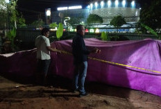 Polres Bontang Tangkap Sopir Truk Muat Kayu Bengkirai Ilegal, Dokumen yang Dibawa Palsu