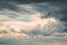 Ramalan Cuaca Kaltim dan IKN, 1 April 2026, Cek di Sini!