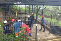  Distribusi Gas di Bontang Sempat Terhenti Beberapa Jam, Aktivitas Dapur Warga Terhambat 