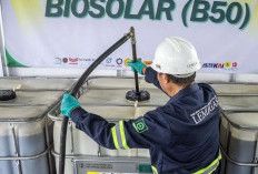 B50 Bikin Hemat Devisa Rp170 Triliun, Sawit Jadi Tulang Punggung Energi Nasional