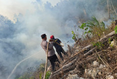 Puluhan Titik Panas Terdeteksi di Berau, BMKG Imbau Masyarakat Tetap Waspada 
