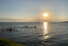  BMKG: Pasang Laut Capai 3 Meter, Tambak dan Aktivitas Pesisir Harus Waspada