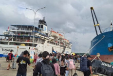 Cegah Jalur Keluar Masuk Narkoba, KSOP Bontang Akan Benahi Keamanan Pelabuhan Loktuan 