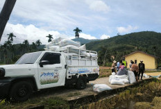 Bulog Bidik Karang Taruna Masuk Tim Jemput Gabah Petani