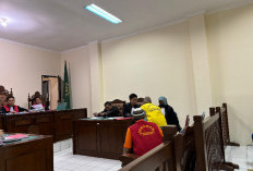 Salasiah dan Adiknya Divonis 5 Bulan Penjara Lantaran Bertahan di Tanah Warisan, Pengacara: Ada Kriminalisasi