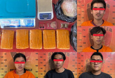 Polsek Loa Kulu Bongkar Jaringan Ganja 3 Kg, Tangkap 5 Orang Termasuk WNA Afghanistan