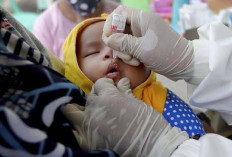 Kualitas Udara Kian Memburuk, Pemkab Berau Alihkan Layanan Posyandu ke Puskesmas