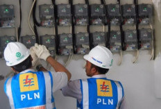Tarif Listrik PLN untuk Juli–September 2026 Tak Naik