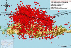BMKG Catat 4.258 Gempa Susulan Pasca-Gempa M7,7 NTT: Aktivitas Masih Tinggi