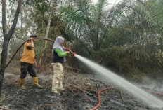 Karhutla Masih Mengancam Kabupaten PPU, Status Siaga Darurat Diperpanjang hingga Akhir Desember