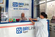 Ditopang Sinergi Holding Ultra Mikro, Siti Julaeha Sukses Kembangkan Usaha Sambil Mengurus Rumah Tangga