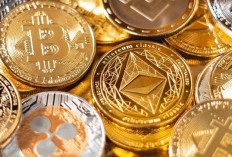  Gara-Gara The Fed Tunda Turunkan Suku Bunga, Pasar Kripto 11 Desember 2025 Memerah, Kecuali Altcoin 