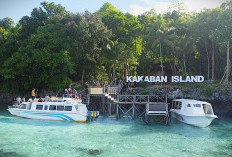 Disbudpar Berau Tunggu Kejelasan Pemprov Kaltim Soal Skema BLUD Pulau Kakaban