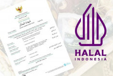 500 Ribu Sertifikasi Halal Gratis Disiapkan untuk Pelaku UMKM