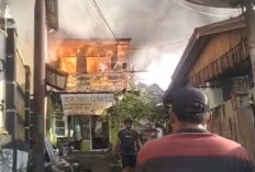 Breaking News! Si Jago Merah Mengamuk di Permukiman Padat Penduduk Karang Jati Balikpapan