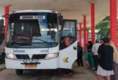 Momen Libur Nataru, Aktivitas Penumpang Bus Damri di Berau Mengalami Peningkatan