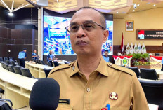 Disbun Kaltim Surati 250 Perusahaan Sawit, Larang Penurunan Harga TBS Sepihak
