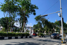 Jangan Tunggu Rusak! DPRD Balikpapan Minta Pemkot Rawat Pelican Crossing