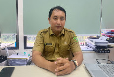 BKAD PPU Buka Suara soal Hilangnya Identitas Mobil Dinas ASN