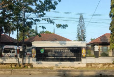 Popok Lansia Rp999 Juta Dinsos Kaltim Disorot BPK, Kepala Panti: Bukan Disembunyikan, Tapi Diamankan