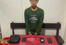 Sembunyikan 12 Paket Sabu Dalam Casing HP,  Pria di Muara Komam Dibekuk Polisi 