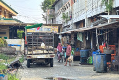 MBG Picu Inflasi di Samarinda, Harga Ayam Ikut Naik 