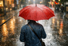 Ramalan Cuaca Kaltim dan IKN, 27 Januari 2026, Hujan Guyur Sejumlah Wilayah!