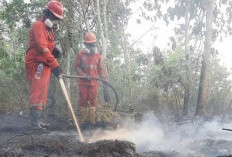 Meski Terdapat Ratusan Titik Api, Kaltim Tak Masuk Prioritas Nasional Penanggulangan Karhutla