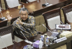 Gubernur BI Perry Warjiyo Mundur, Begini Tanggapan Istana