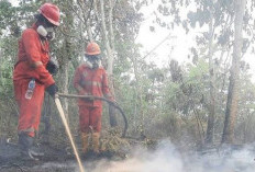 5 Daerah Rawan Asap Jadi Prioritas Distribusi Masker Dinkes Kaltim