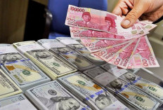 DEN Sebut Fundamental Ekonomi Tetap Kokoh Dibanding 1998 Meski Rupiah Ditekan Dolar AS