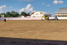 Rumput Lapangan Stadion Sadurengas Paser Dipoles Berstandar GBK